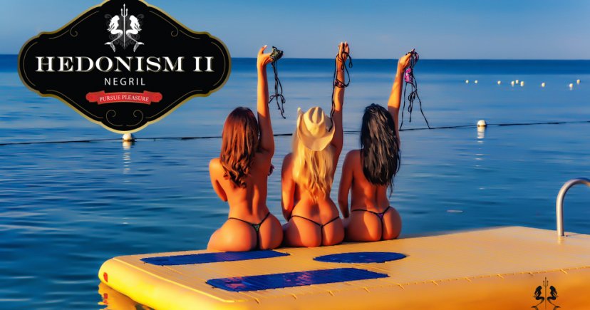 5 Things You Probably Did Not Know About Hedonism II